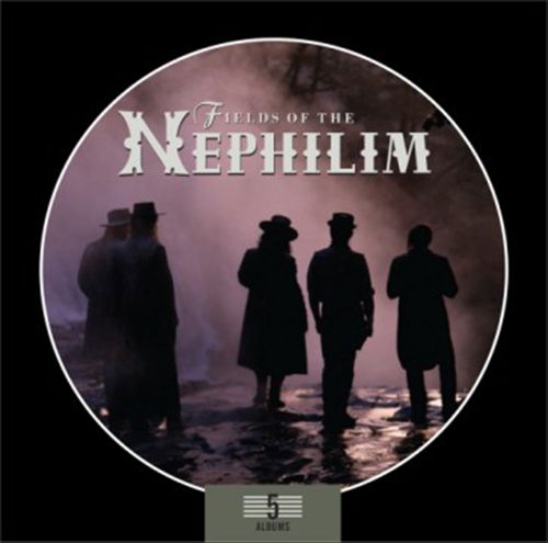 5 Albums cover art