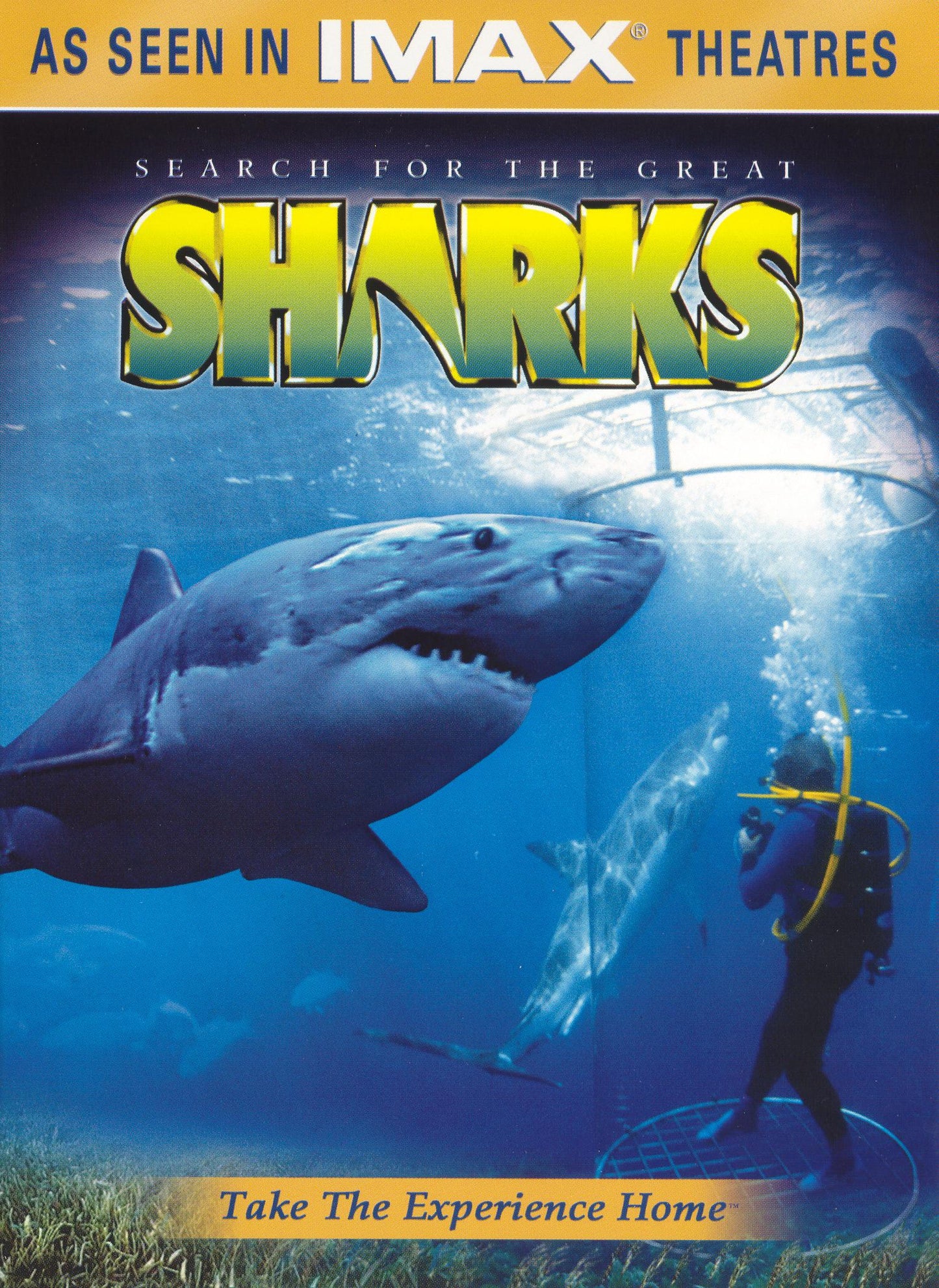 Search for the Great Sharks cover art