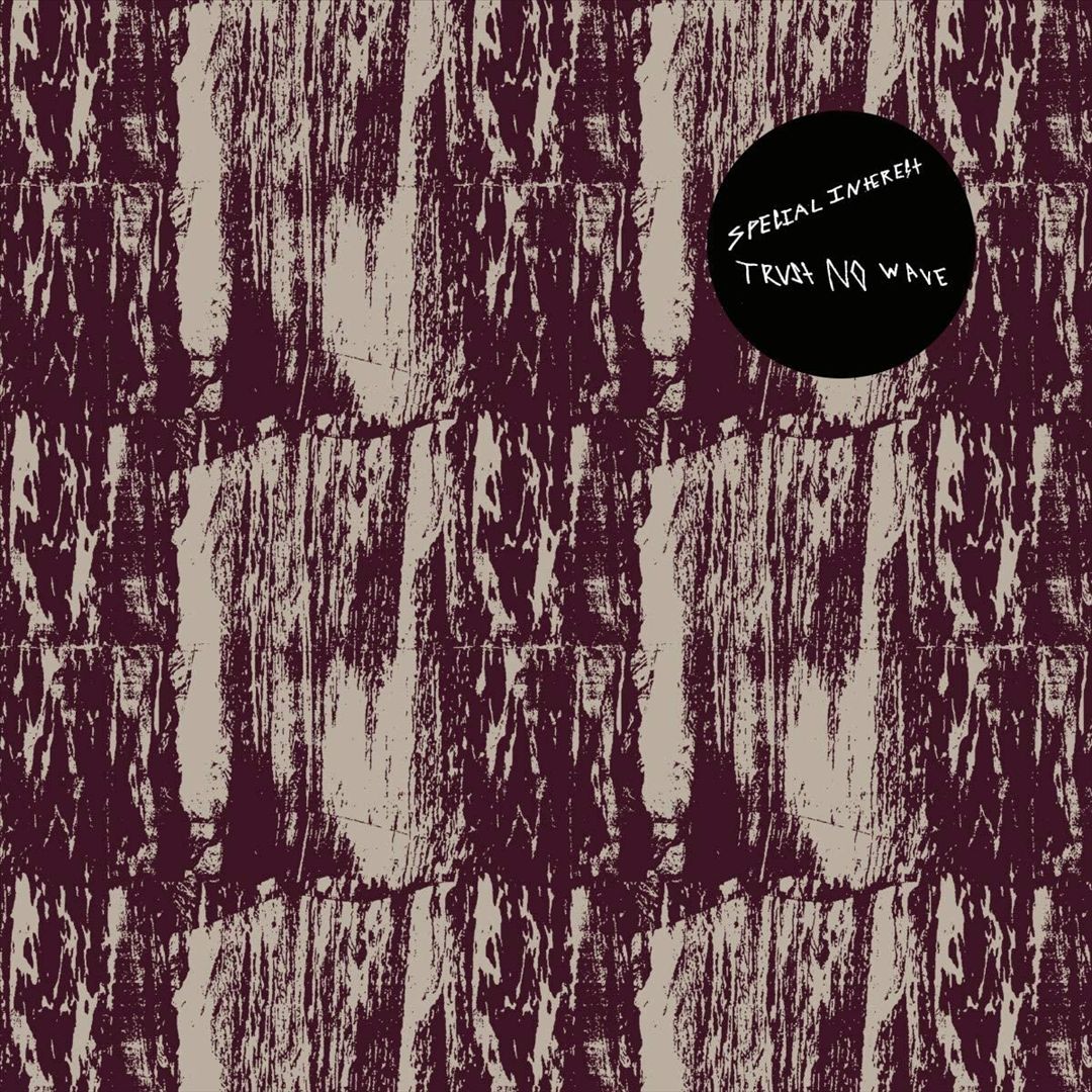 Trust No Wave cover art