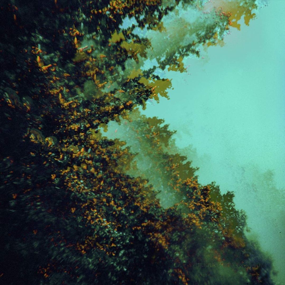 Caterpillars of Creation cover art