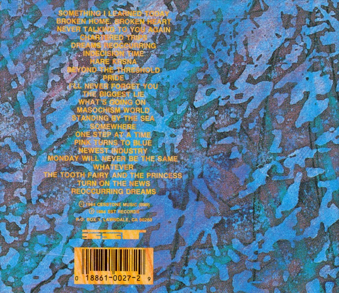 Zen Arcade cover art