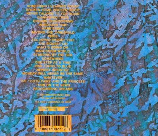 Zen Arcade cover art