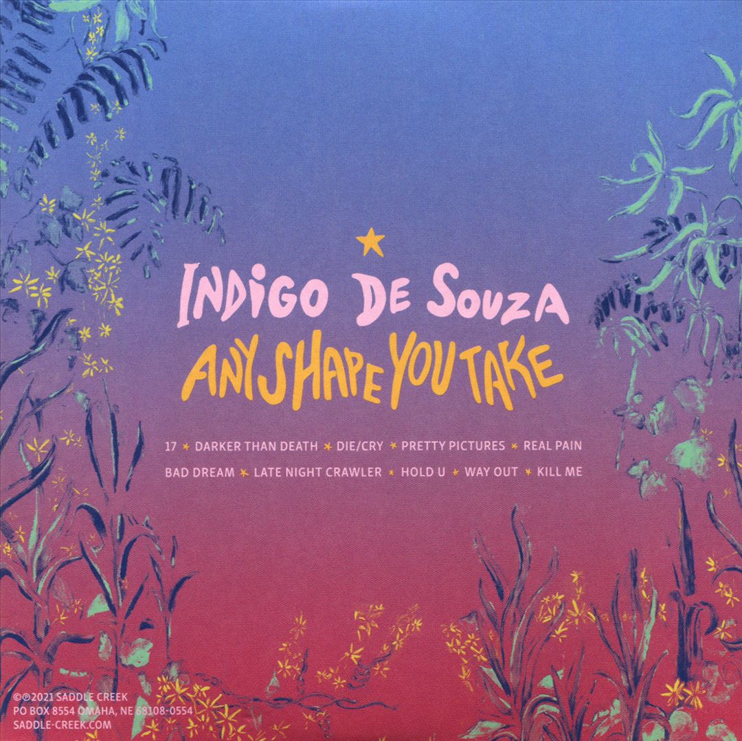 Any Shape You Take cover art