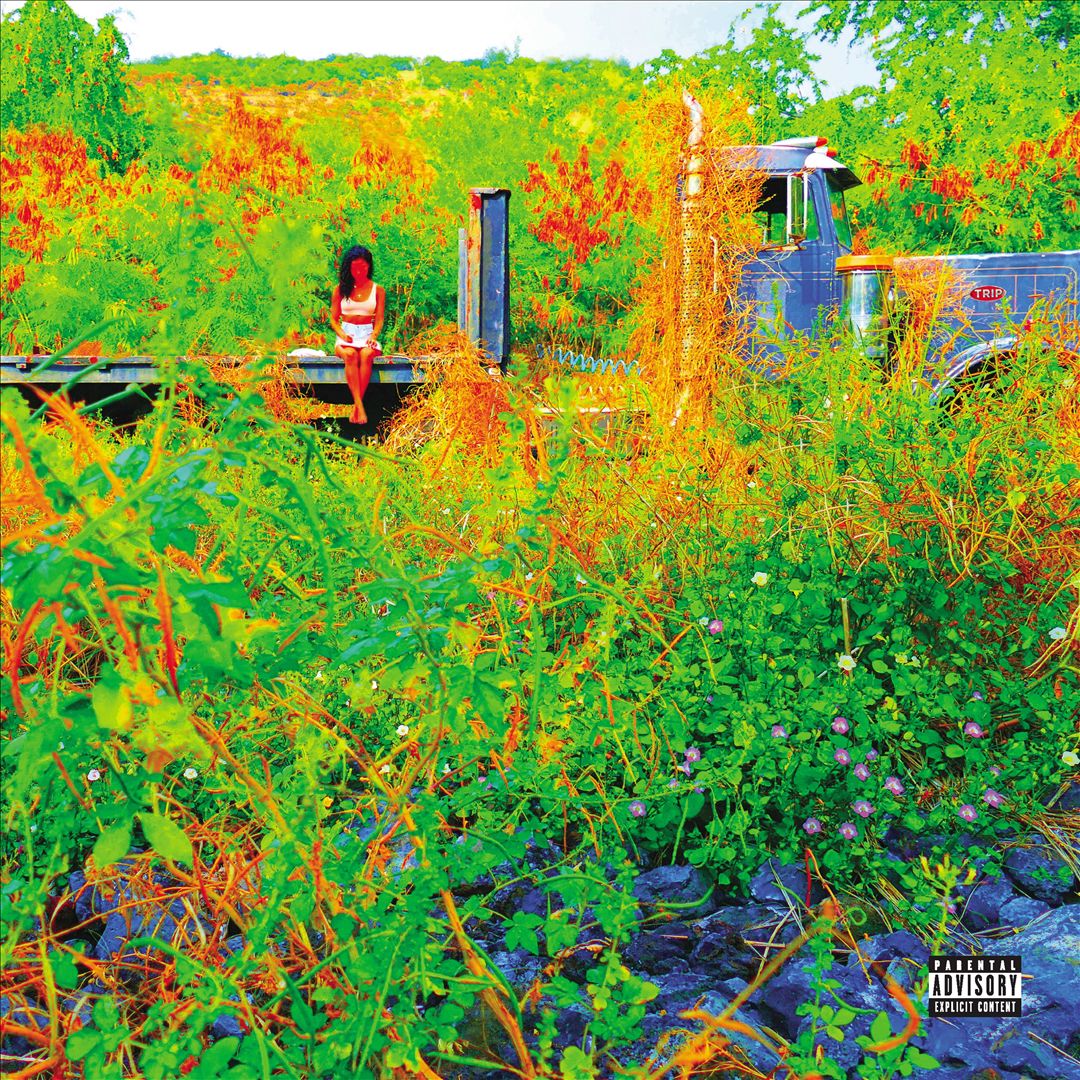 Trip cover art
