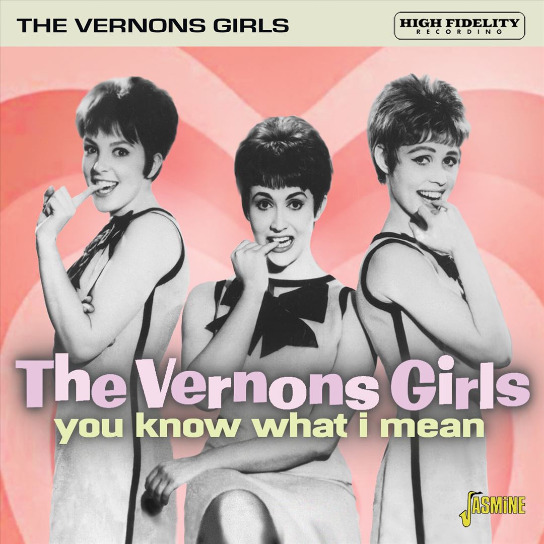 You Know What I Mean cover art