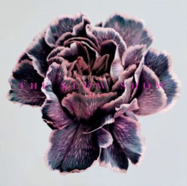 STILL LIFE cover art