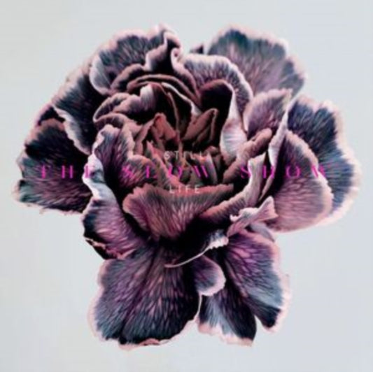 STILL LIFE cover art