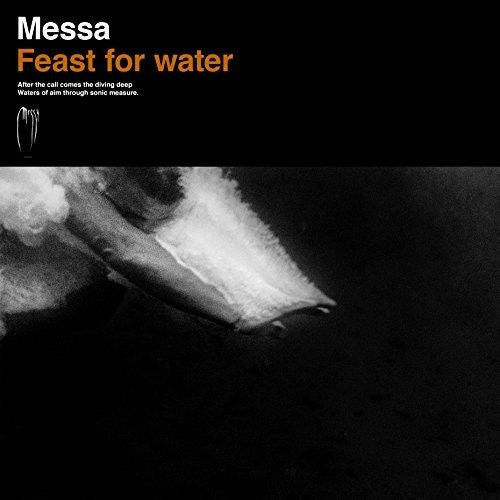 Feast for Water cover art