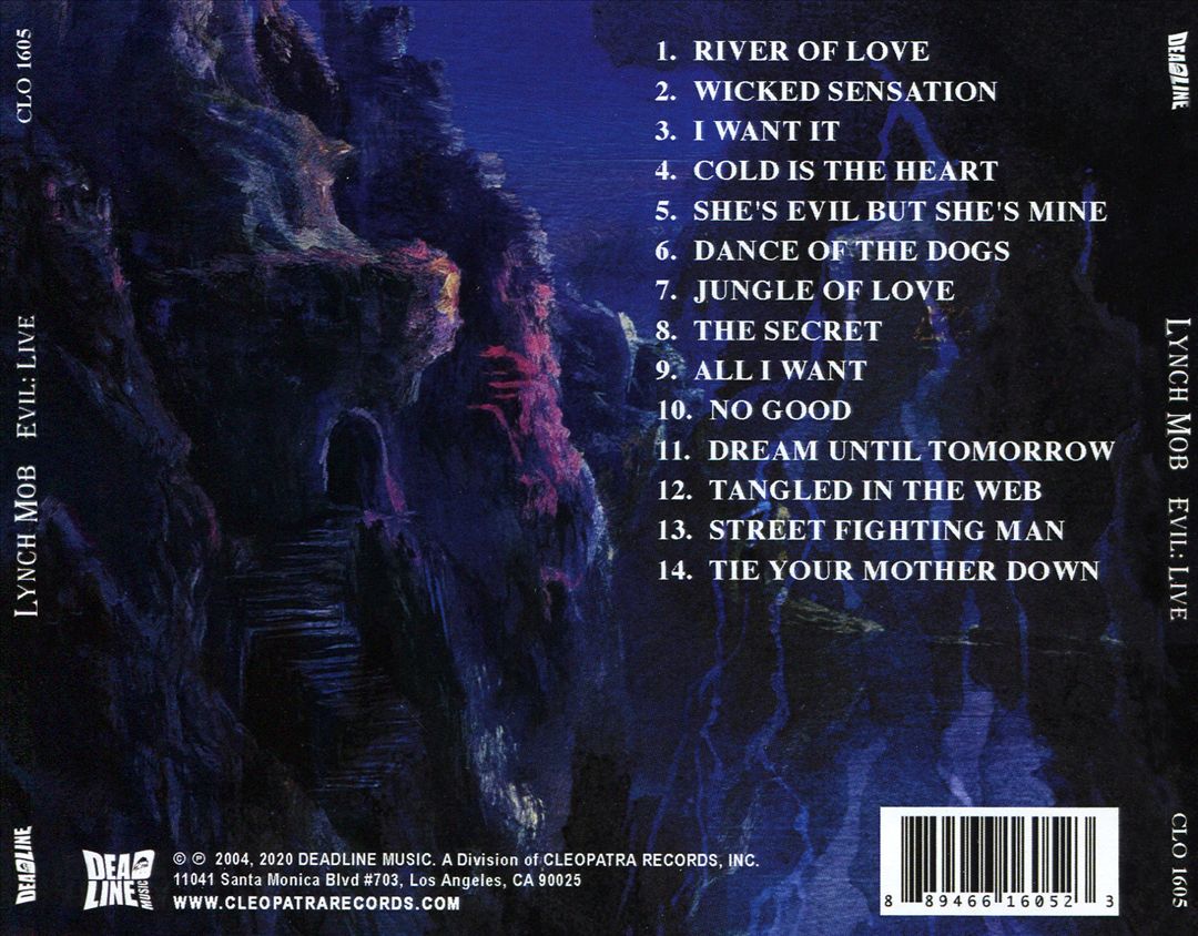 Evil [Live] cover art