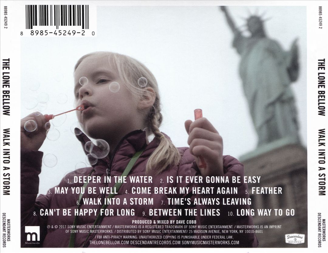Walk Into a Storm cover art