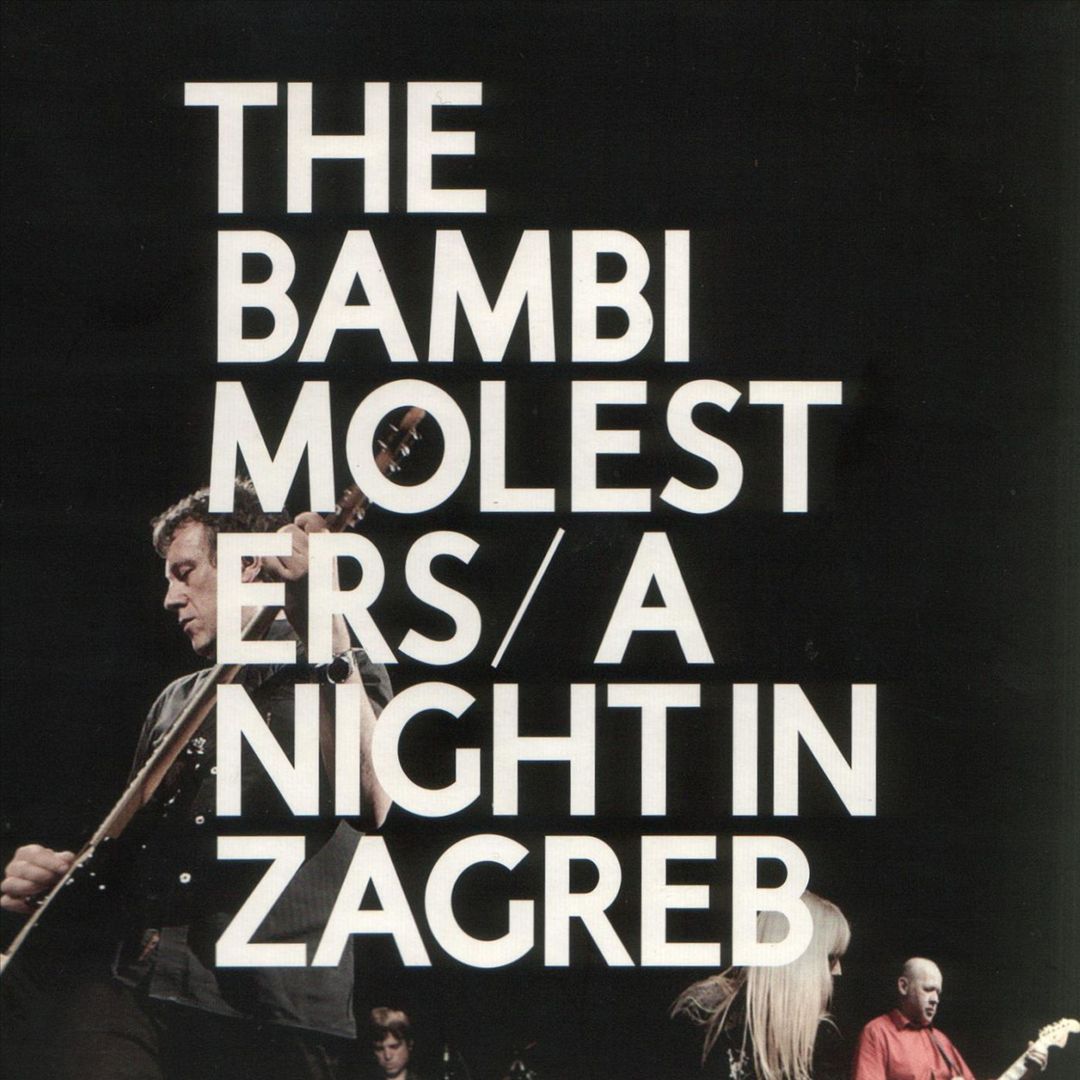 Night in Zagreb [Live] cover art