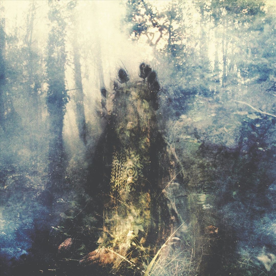 Wistful cover art