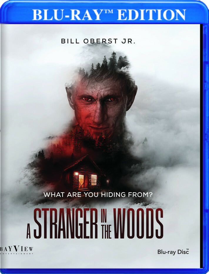 Stranger in the Woods [Blu-ray] cover art
