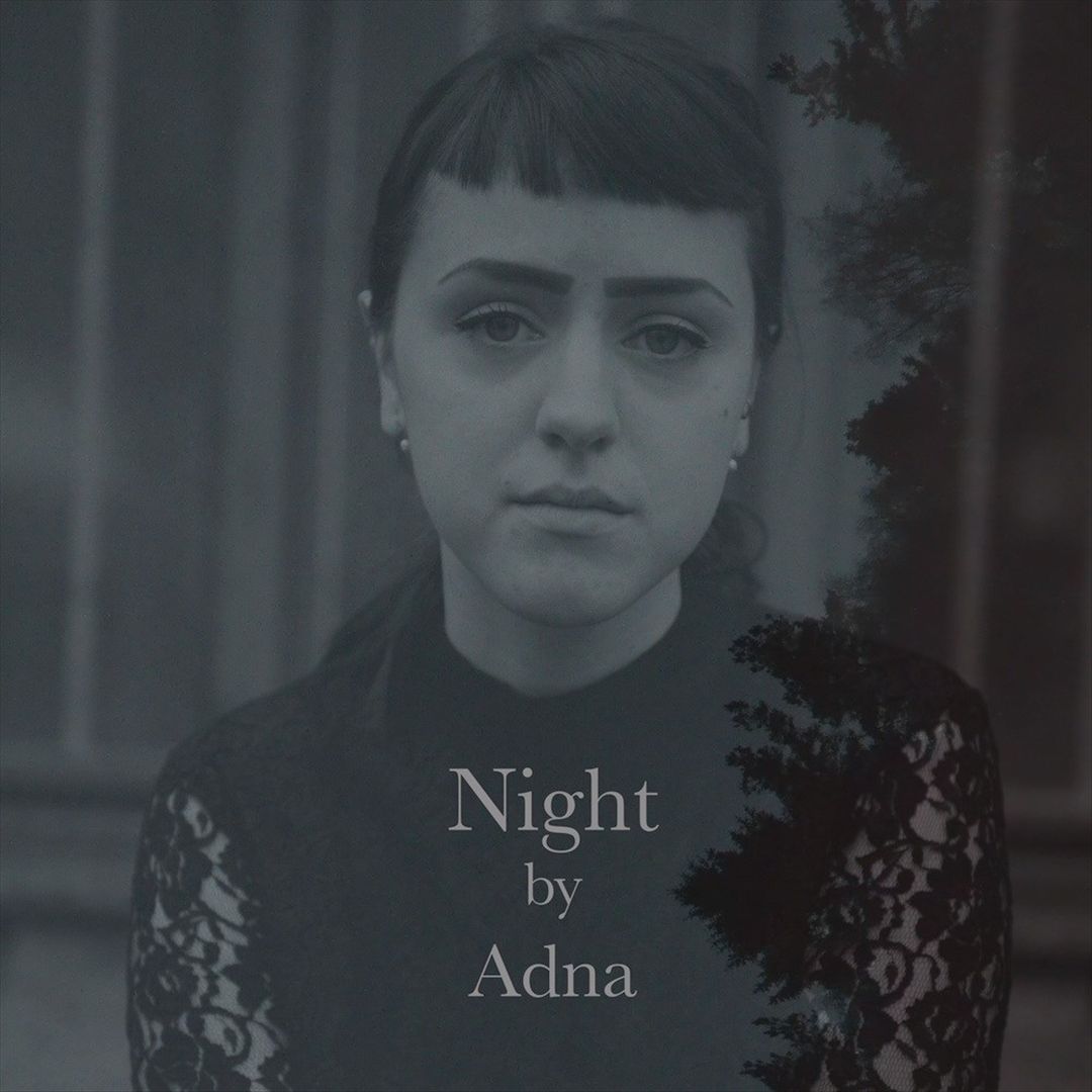 Night cover art