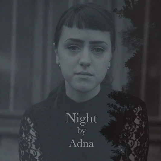 Night cover art
