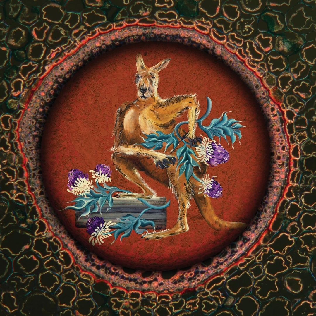 LSD cover art