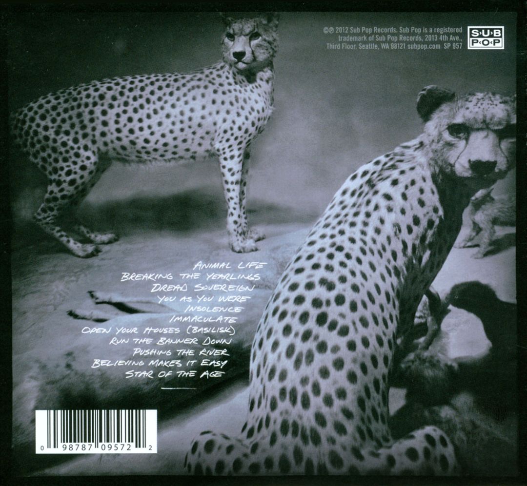 Animal Joy cover art