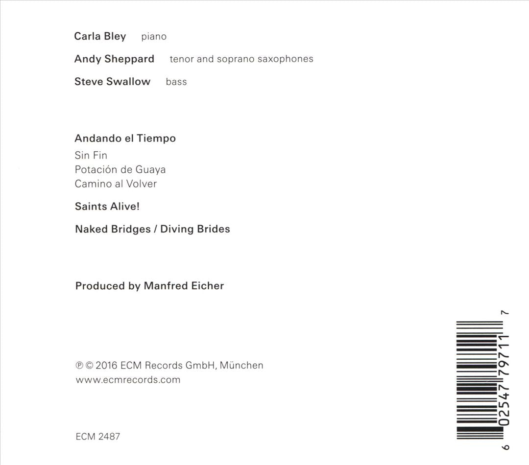 Andando el Tiempo cover art