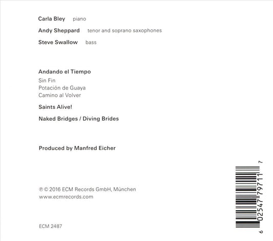 Andando el Tiempo cover art