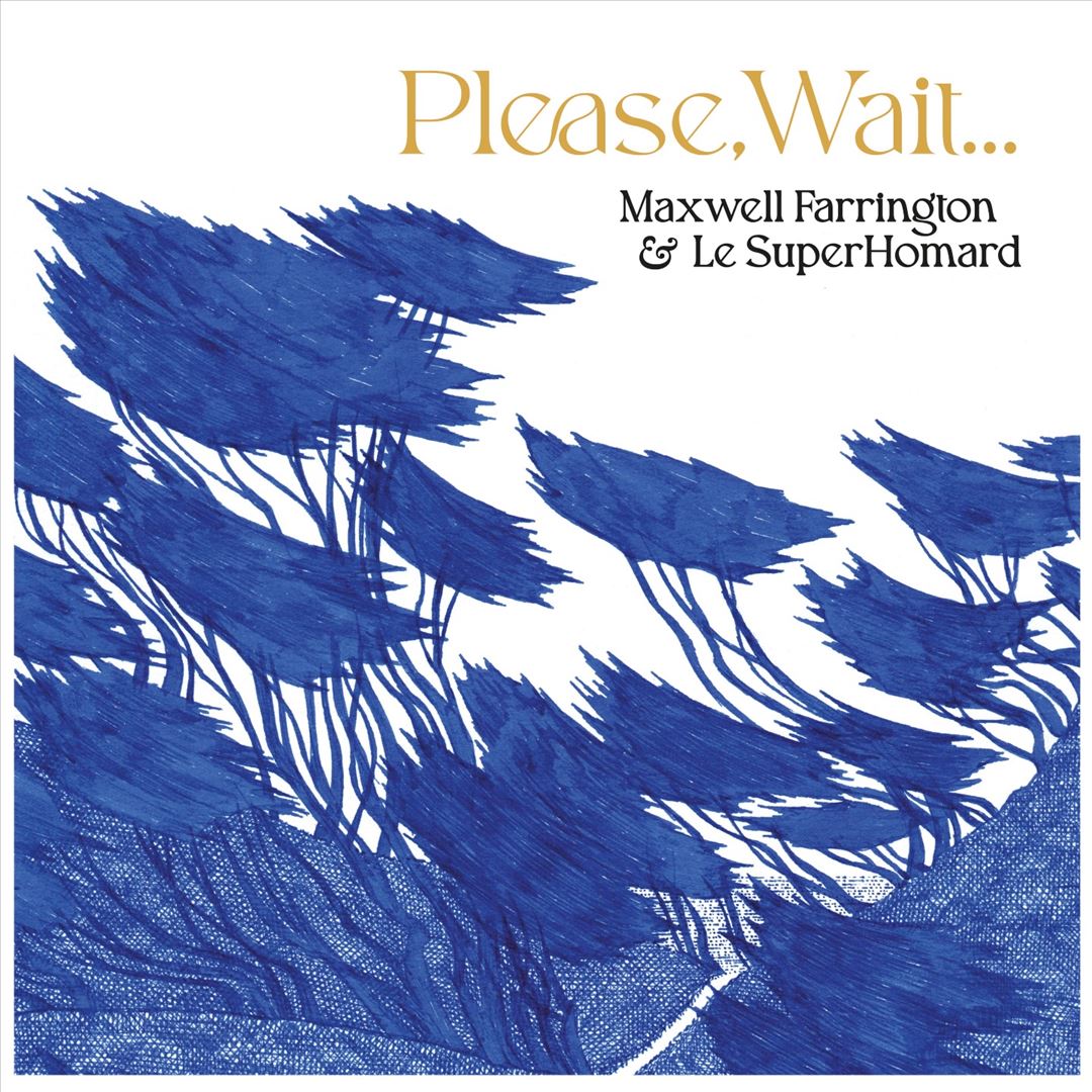 Please, Wait.... cover art