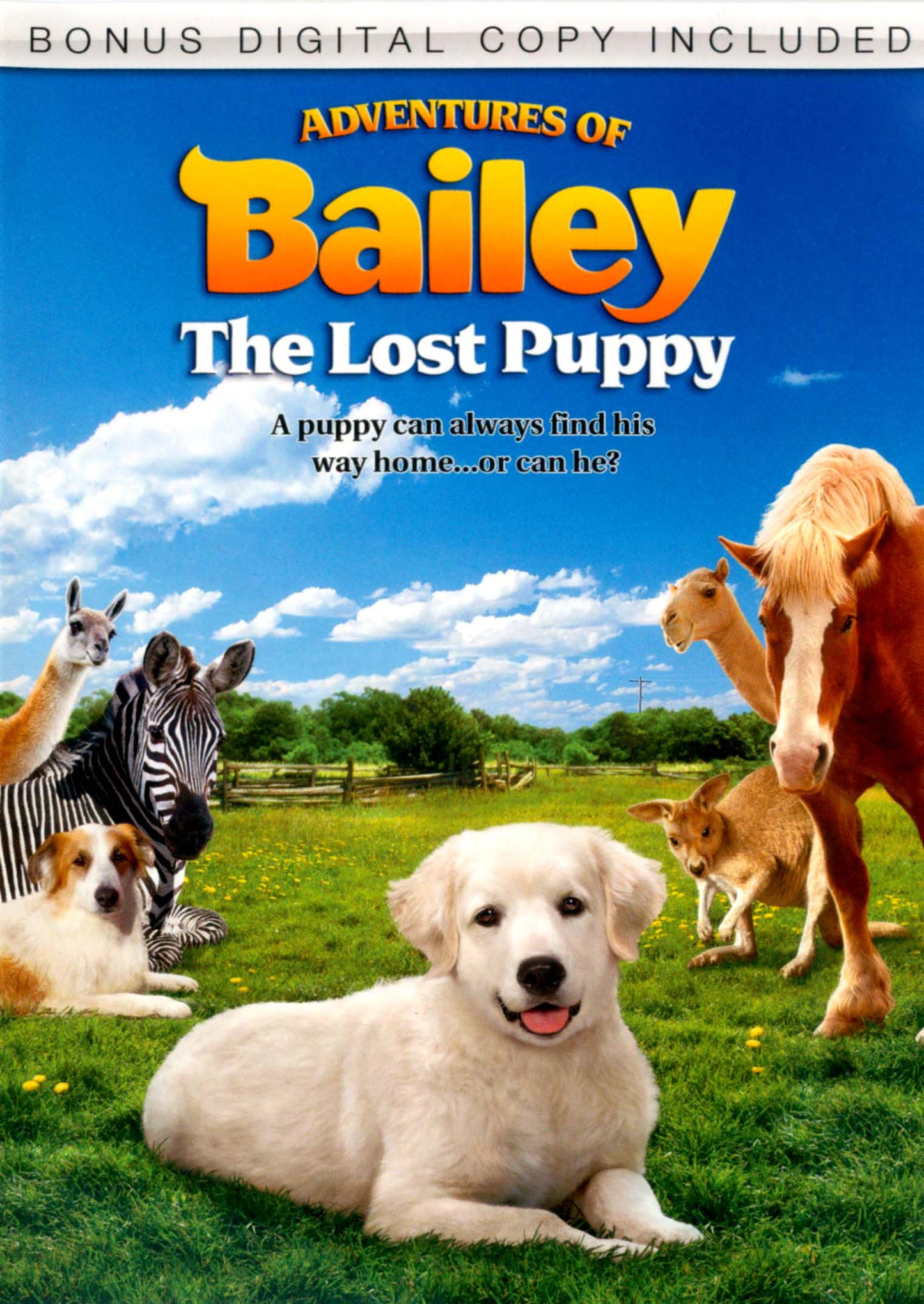 Adventures of Bailey: The Lost Puppy cover art