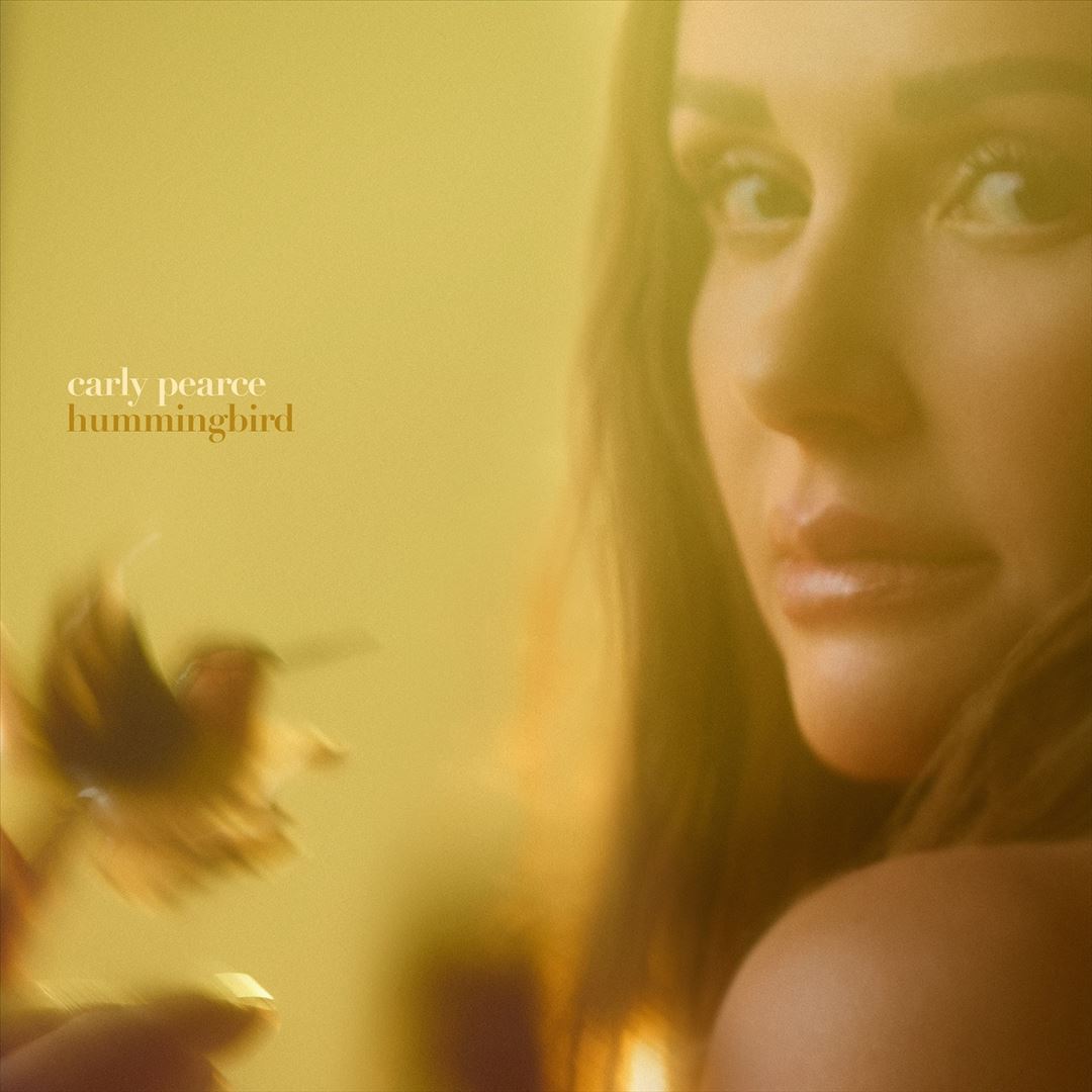 hummingbird cover art