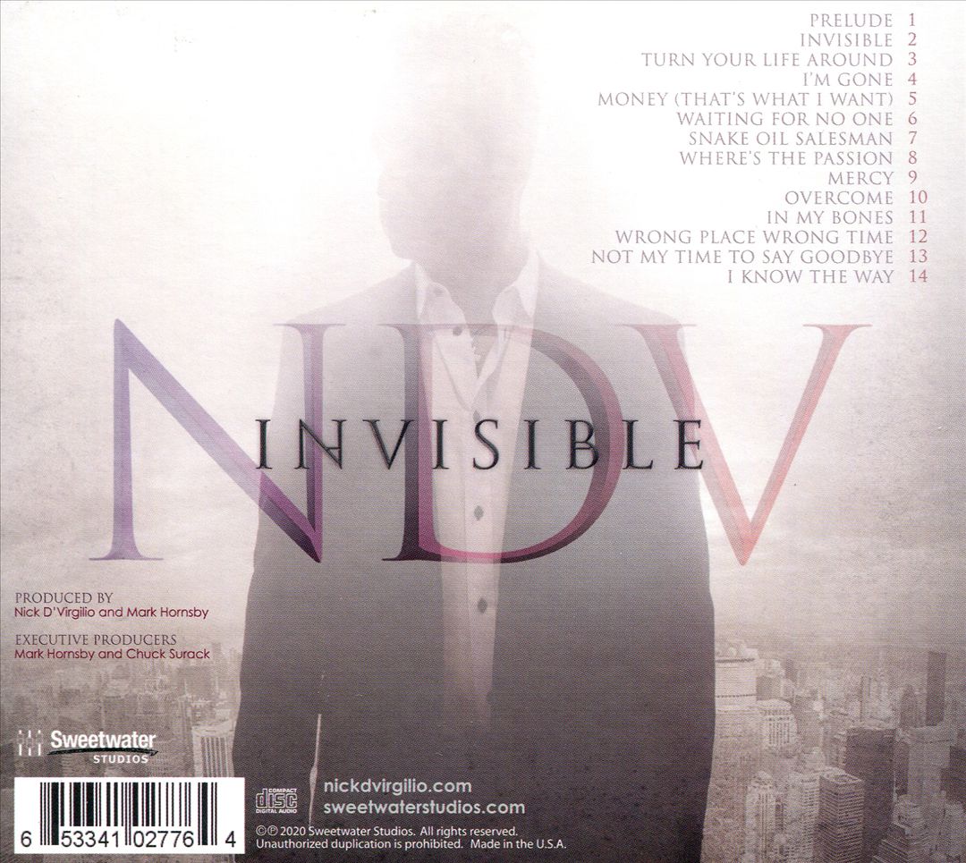 Invisible cover art