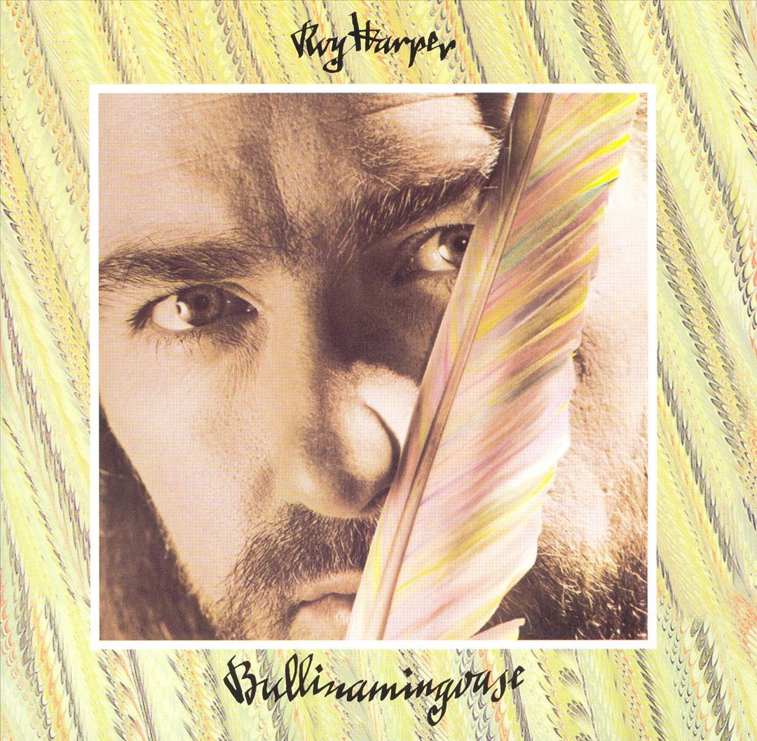 Bullinamingvase cover art