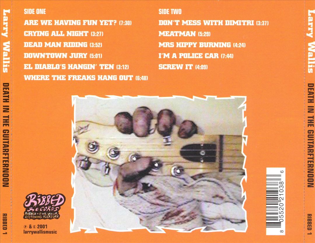 Death in the Guitarafternoon cover art