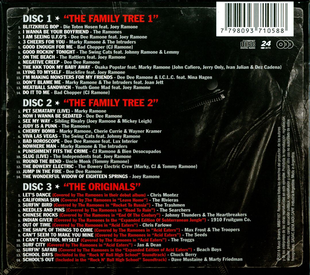 Many Faces of Ramones: A Journey Through the Inner World of Ramones cover art