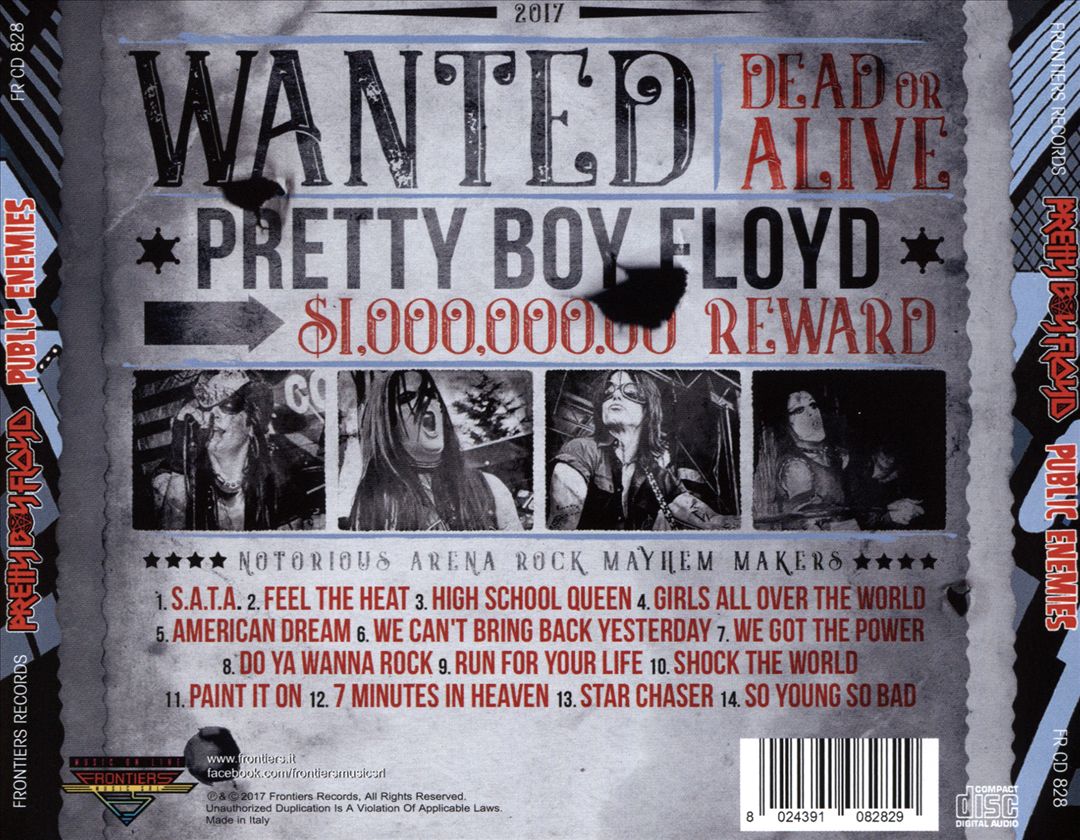 Public Enemies cover art
