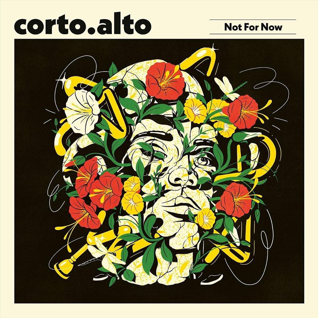 Not for Now cover art