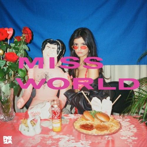 Keeping Up With Miss World cover art