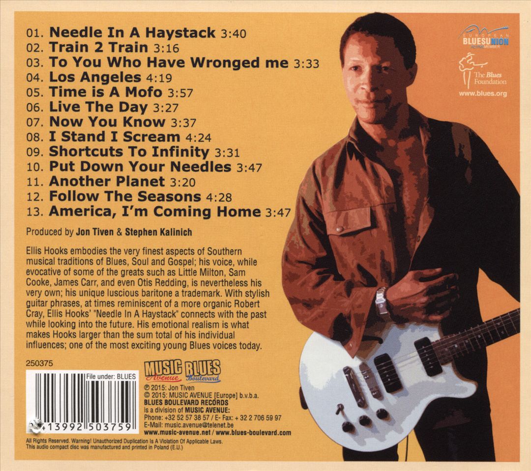 Needle in a Haystack cover art