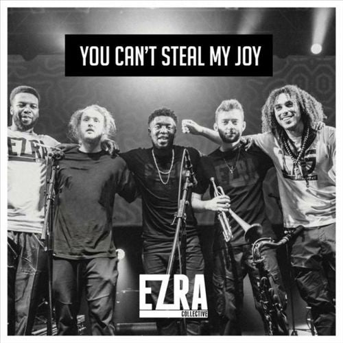 You Can't Steal My Joy cover art
