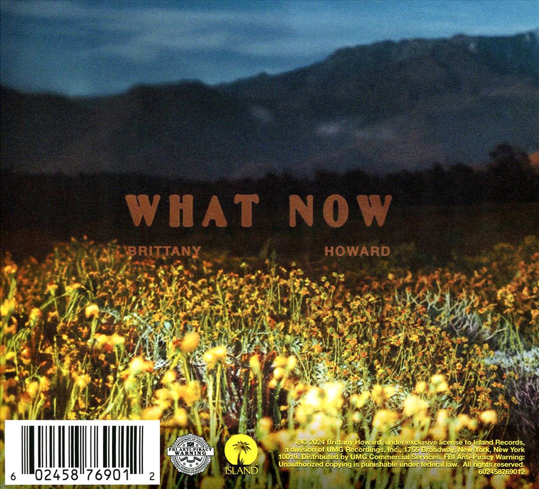 What Now cover art