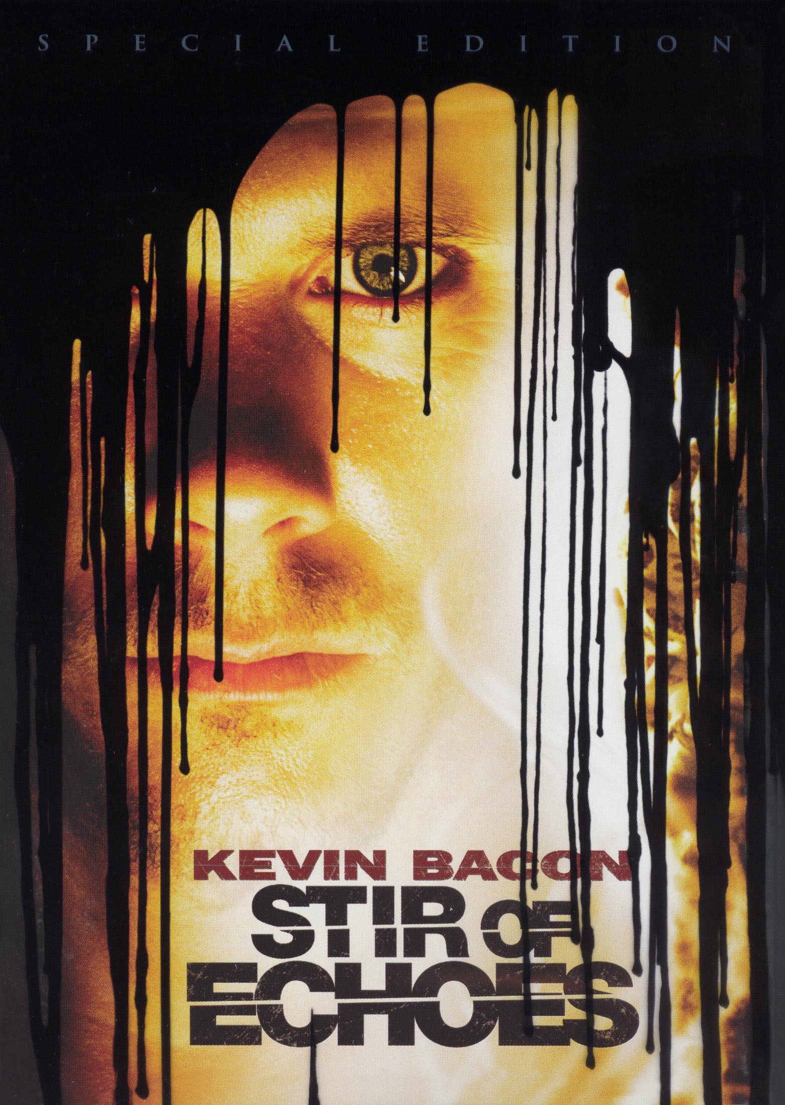 Stir of Echoes [Special Edition] cover art