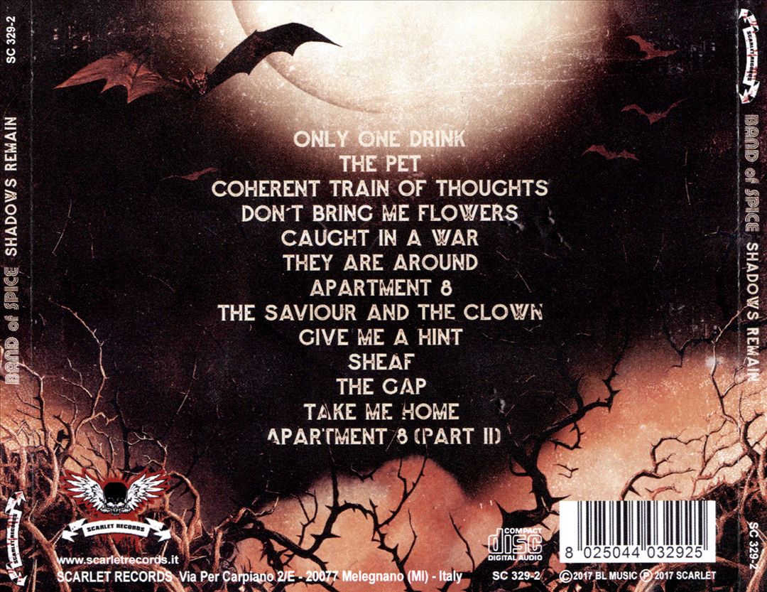 Shadows Remain cover art