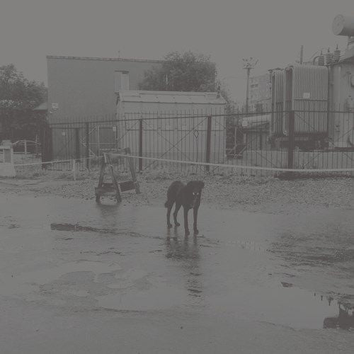 After Its Own Death/Walking in a Spiral Towards the House cover art