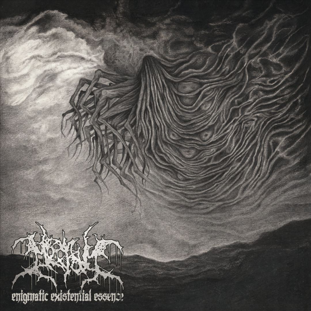 Enigmatic Existential Essence cover art