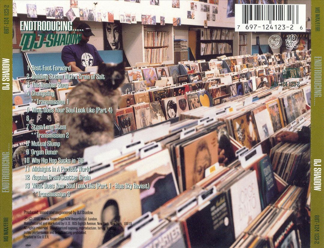 Endtroducing..... cover art