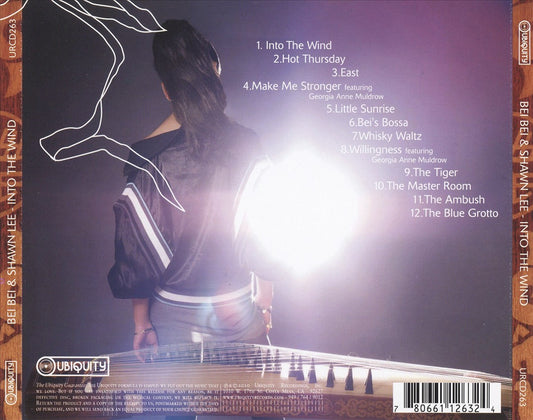 Into the Wind cover art