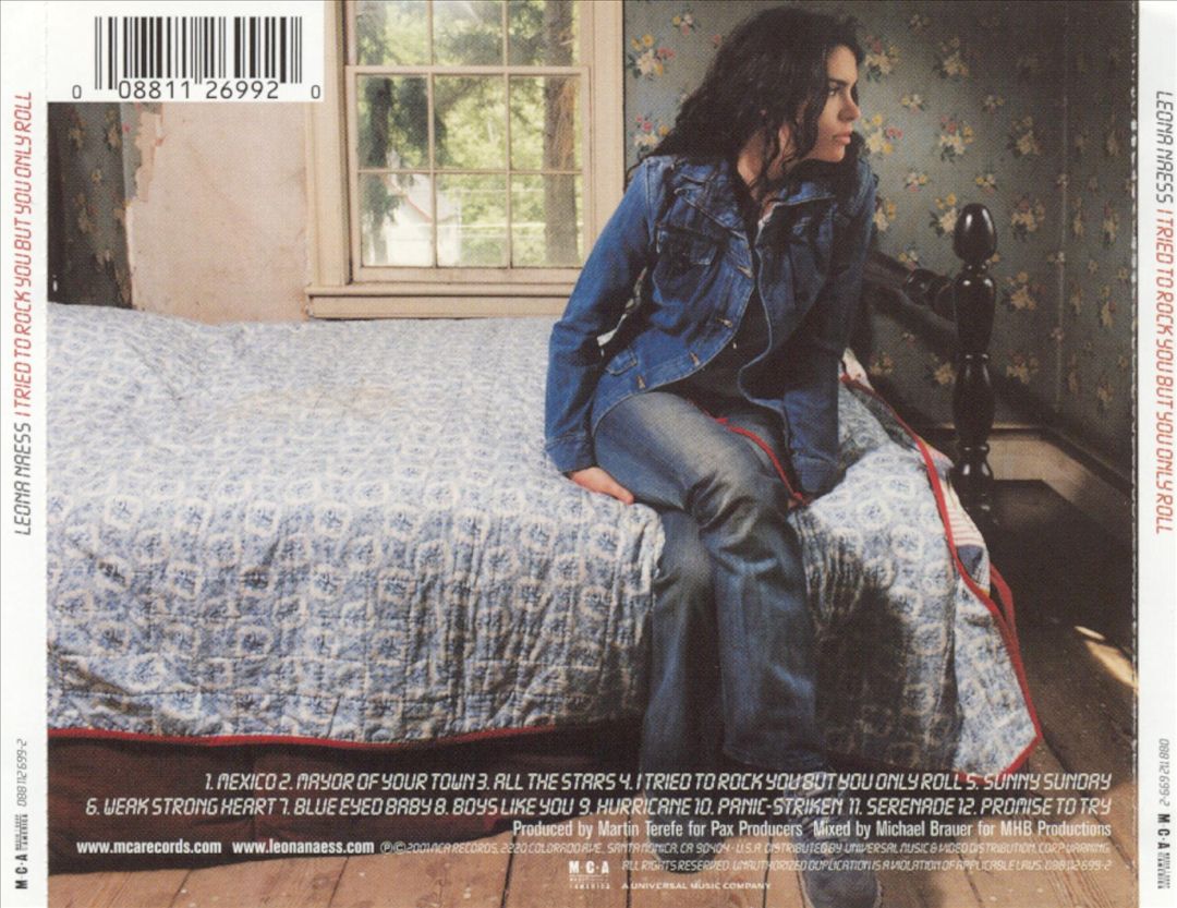 I Tried to Rock You But You Only Roll cover art