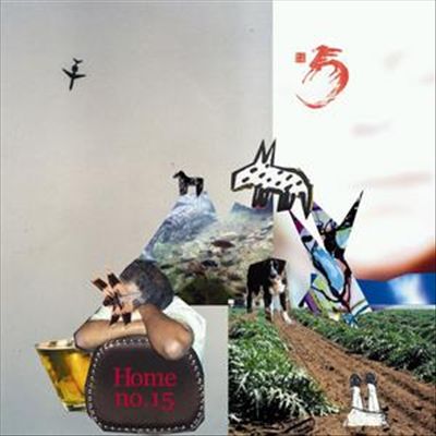 No. 15 cover art