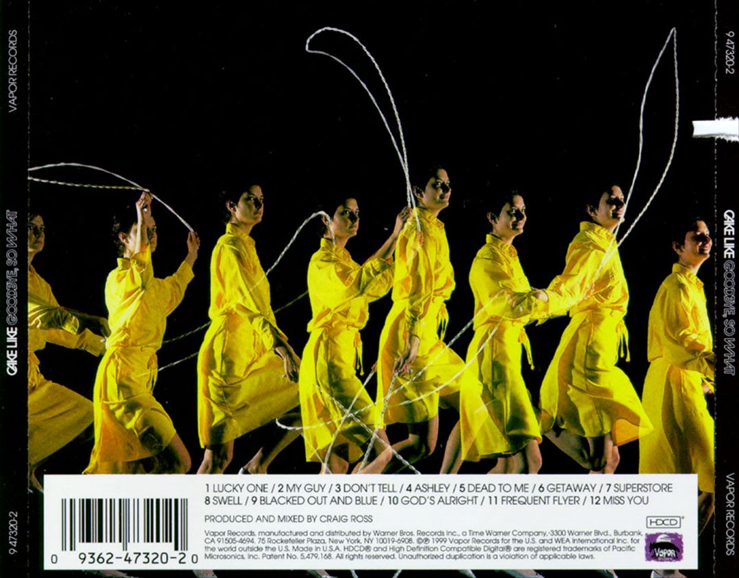 Goodbye, So What? cover art
