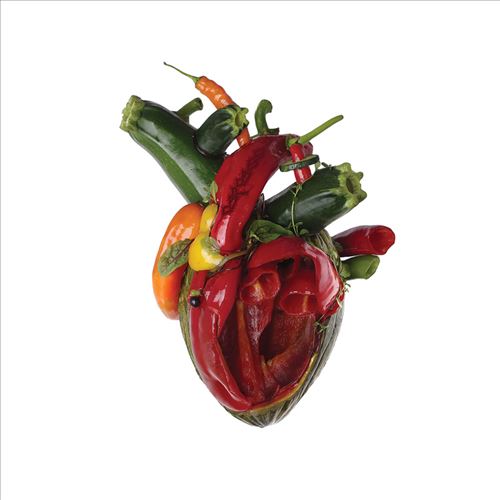 Torn Arteries cover art