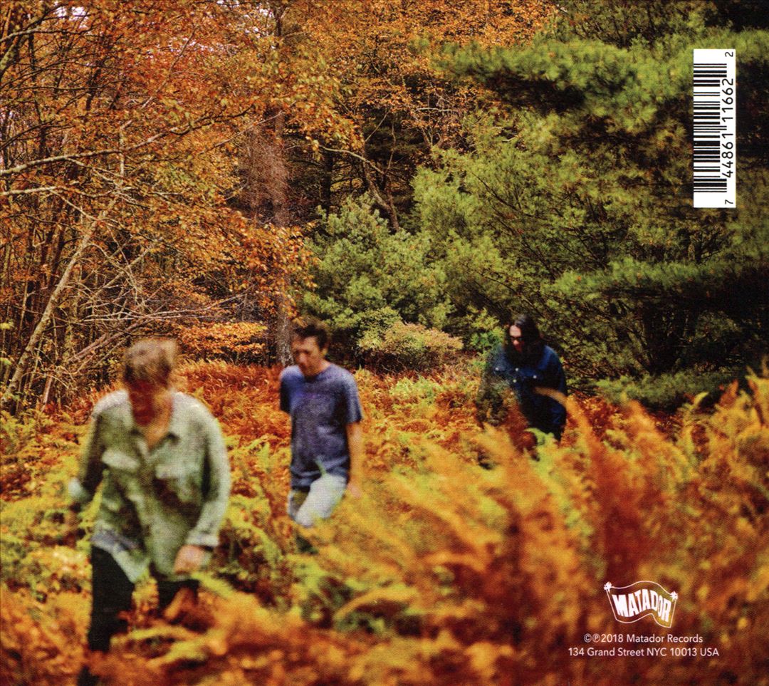 There's a Riot Going On cover art
