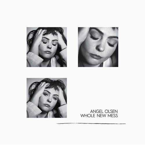 Whole New Mess cover art