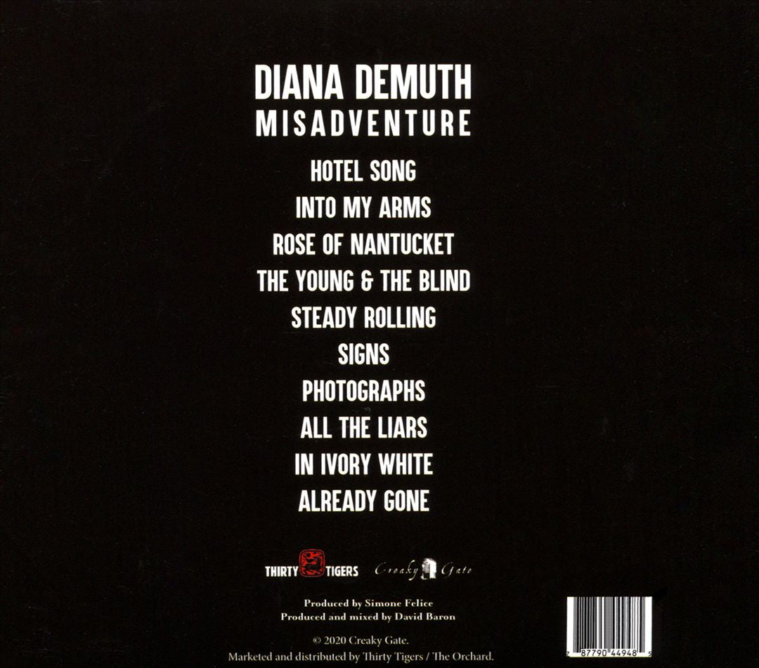 Misadventure cover art