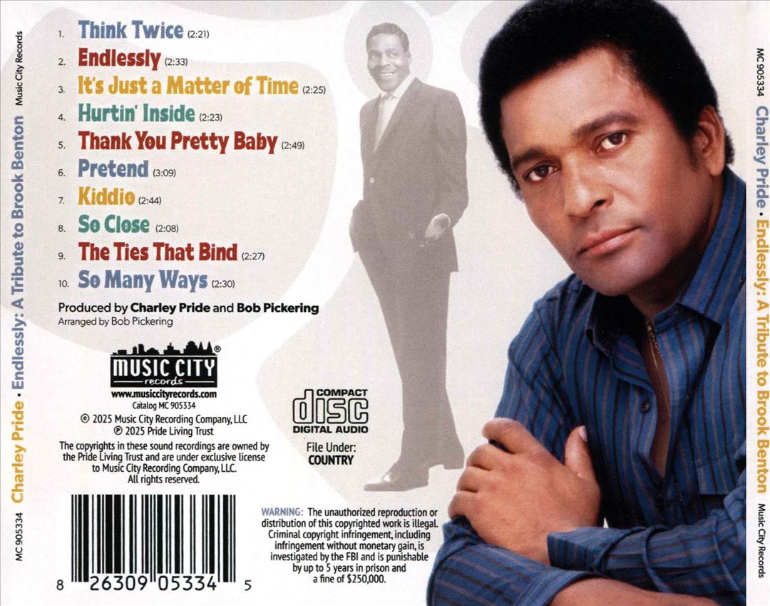 Endlessly: A Tribute to Brook Benton cover art